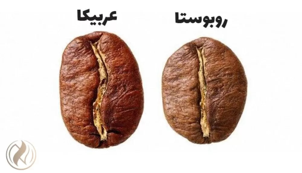 توضیحی درباره تصویر